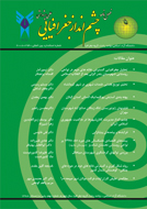 مطالعات برنامه ریزی سکونتگاه های انسانی (چشم انداز جغرافیایی)