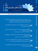 سیاست های راهبردی و کلان